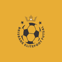Brisbane EliteFoot Futsal Club logo