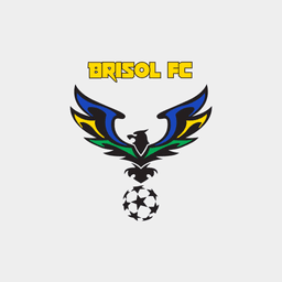 Brisol Futsal Club logo