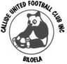 Callide United Football Club Inc logo