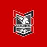 Holland Park Hawks Football Club Inc logo