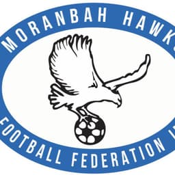 Moranbah Hawks Football Federation Inc logo