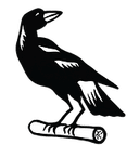 Nerimbera Football Club Inc logo