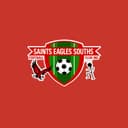 Saints Eagles Souths Football Club logo