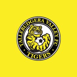 Tallebudgera Valley FC logo
